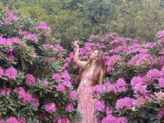 -名花谷生态庄园