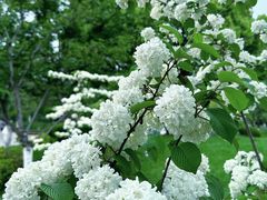 -玄武湖景区-情侣园游乐场