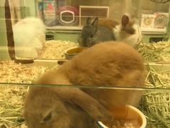 -龙猫仔乐园(惠福东路店)