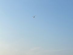-碧海金沙