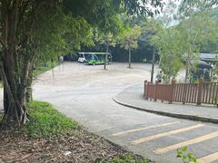 -广东惠东海龟国家级自然保护区
