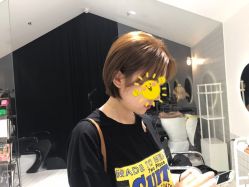 -大象造型