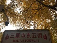 -三里屯东五街银杏大道