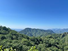 -大岭沟猕猴桃谷风景区