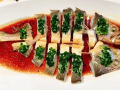 -西郊5号·Maggie 5