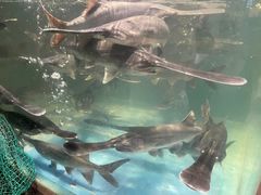 -漓江又一軒·广西菜·桂林米粉(梅林店)