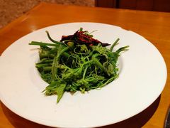 -新凯里酸汤鱼(飞山街店)