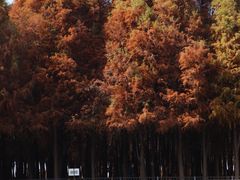 -捞渔河湿地公园