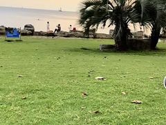-苏州湾体育公园