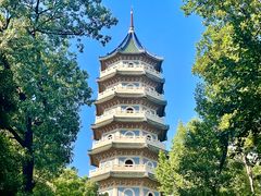 -灵谷景区