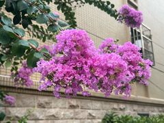 -鲜牛记潮汕牛肉火锅(淮安珠海路店)