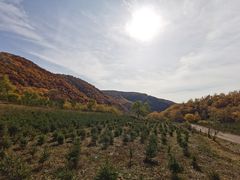 -塞罕坝国家级自然保护区