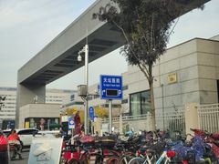 -首都医科大学附属北京天坛医院