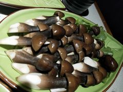-一叶一世界•素食餐厅(环球中心店)