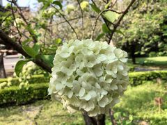 -南通博物苑-崇川人民公园