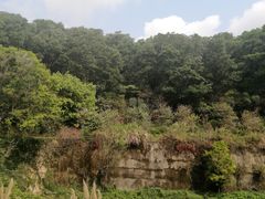 -云溪植物园