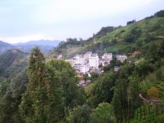 -石潭村