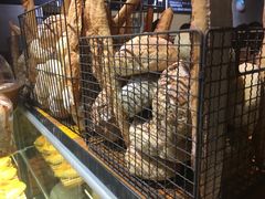 -来龙里 精致 东南亚餐室(万象城店)
