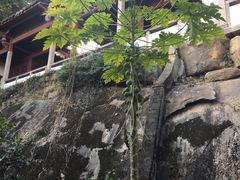 -乌山风景区