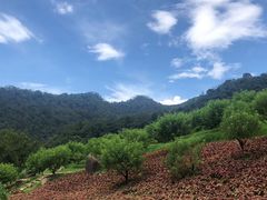 -广州市石门国家森林公园