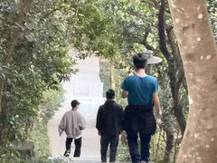 -小南山公园