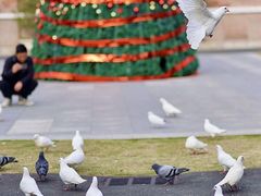 -赤坎·广东华侨国际旅游度假区