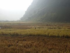 -靖西鹅泉风景区