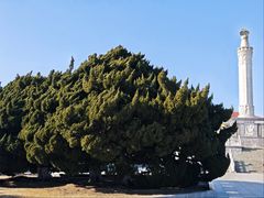 -旅顺博物馆