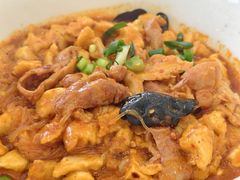 -春发芽葫芦头(科技二路旗舰店)