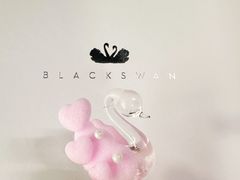 -BLACKSWAN黑天鹅(环球店)