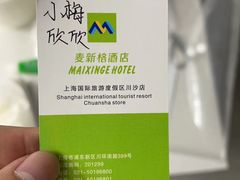 -麦新格精品酒店(上海浦东机场川沙迪士尼店)