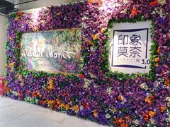 -印象莫奈时光映迹艺术展
