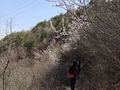 -定都峰