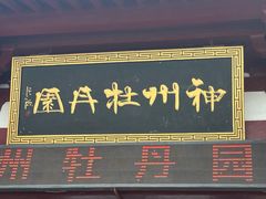 -神州牡丹园