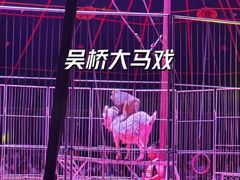 -吴桥杂技大世界