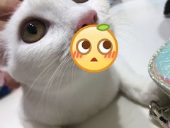 -立德动物医院·24小时中心(番禺区院区)