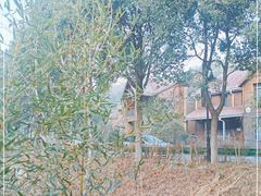 -岳西天峡风景区
