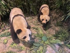 -长江文明馆