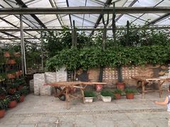 -营地公园·团建拓展·亲子户外(奉贤店)