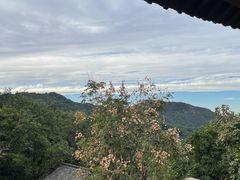 -中国茶叶博物馆(双峰馆区)