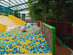 -呀路古热带植物园