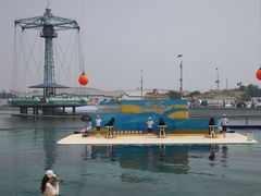 -秦皇岛乐岛海洋王国