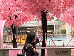 -东莞松山湖万象汇