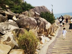 -广东惠东海龟国家级自然保护区