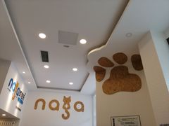 -纳吉亚猫专科动物医院·北北分院