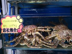-蚝专家(北滘店)