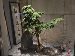 -小马哥融合菜(延安大街店)