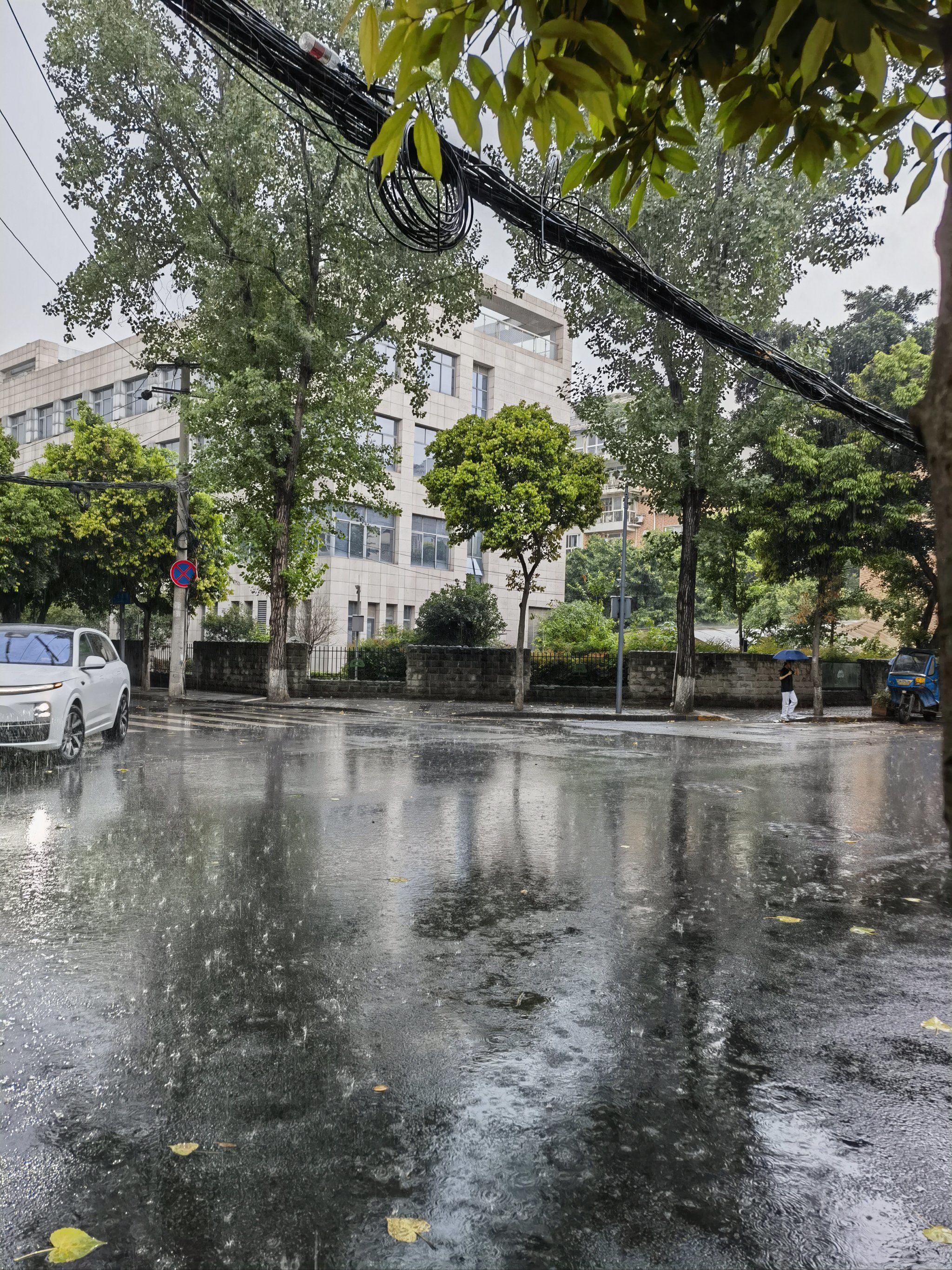 ⚡暴雨中的成都