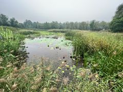 -翠湖国家城市湿地公园