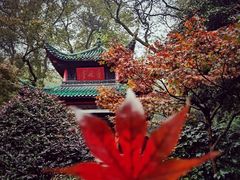 -岳麓山风景名胜区